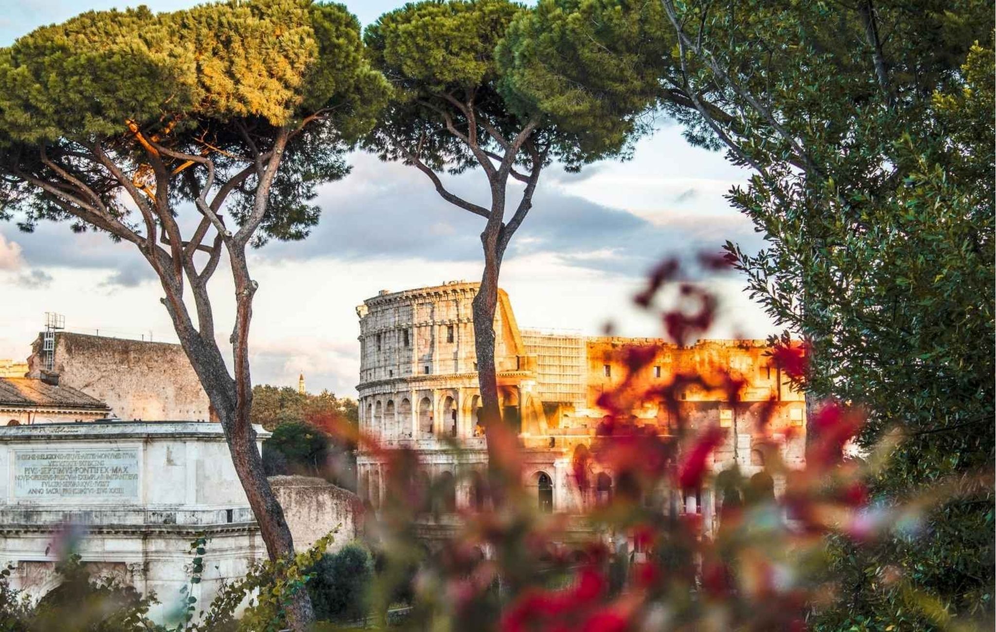 Colosseum Semi-private Guided Tour Experience